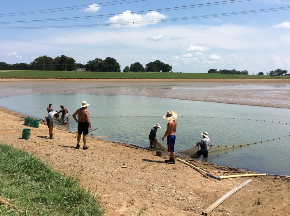 Women in aquaculture Margie Saul The Fish Site
