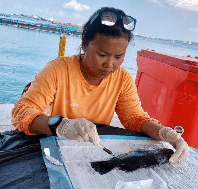 Marie Tan has benefitted from The Fish Site's pilot mentoring programme