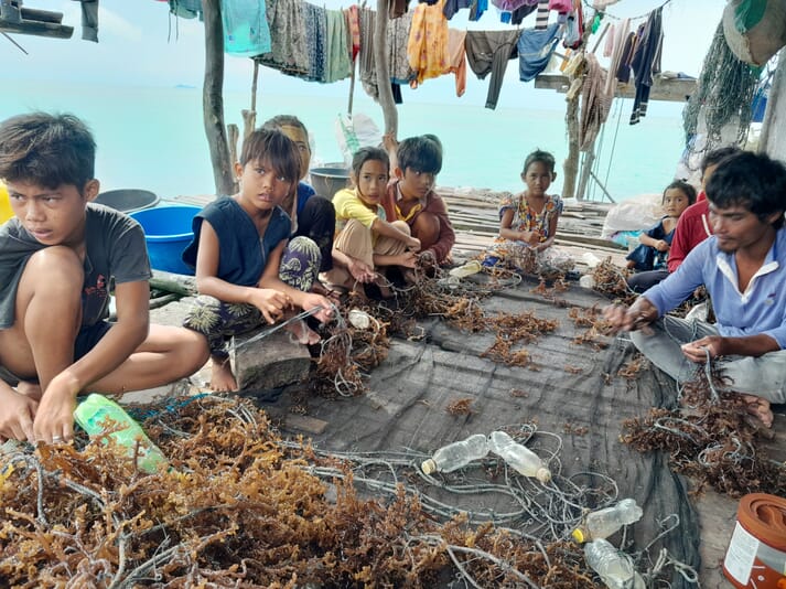 Children cleaning farmed seaweed