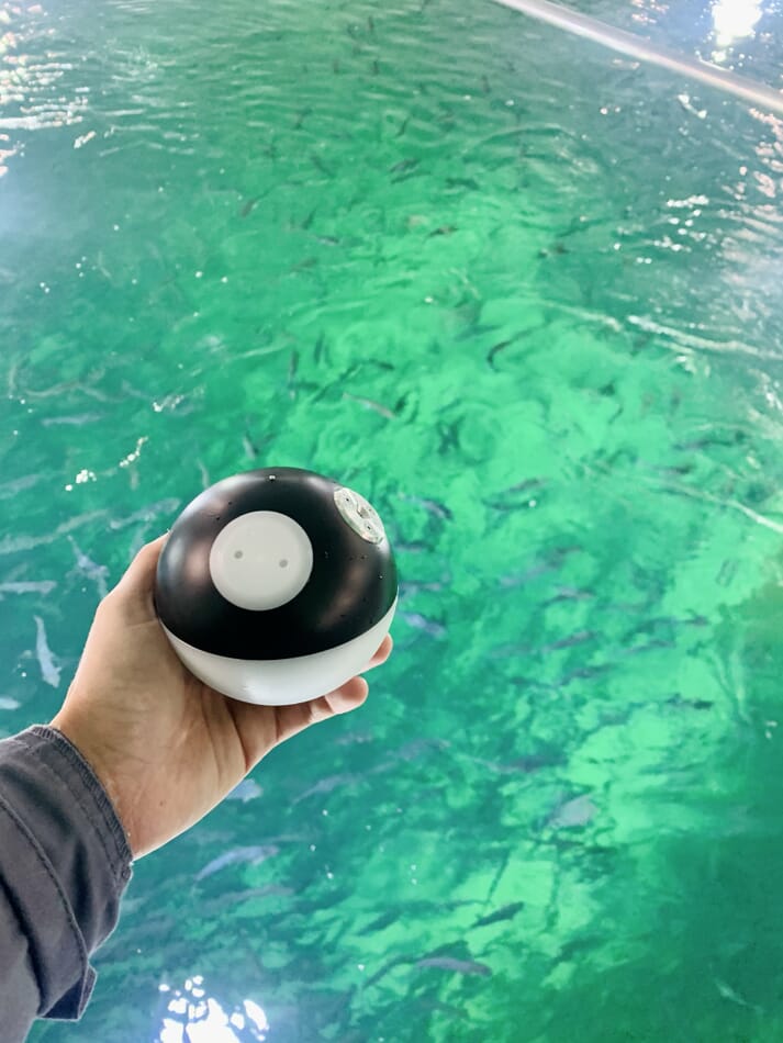 Sedna recently launched its Sensor Globe, a wireless means of monitoring water quality