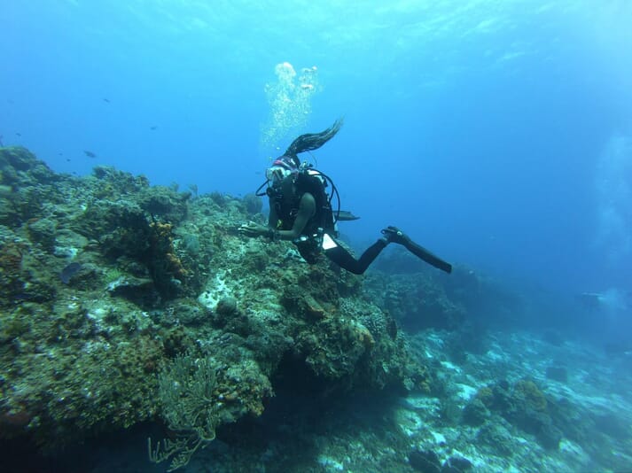 Diver swimming next to a coral reef