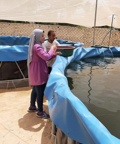 Two people feeding fish at an indoor RAS farm