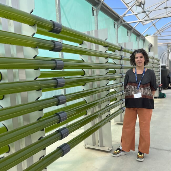 Patricia Bianchi ao lado de reatores de algas marinhas