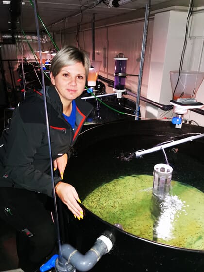 Woman standing near a recirculating tank full of fry