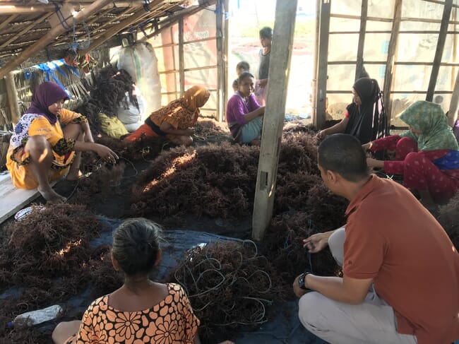 Grupo de pessoas com algas marinhas