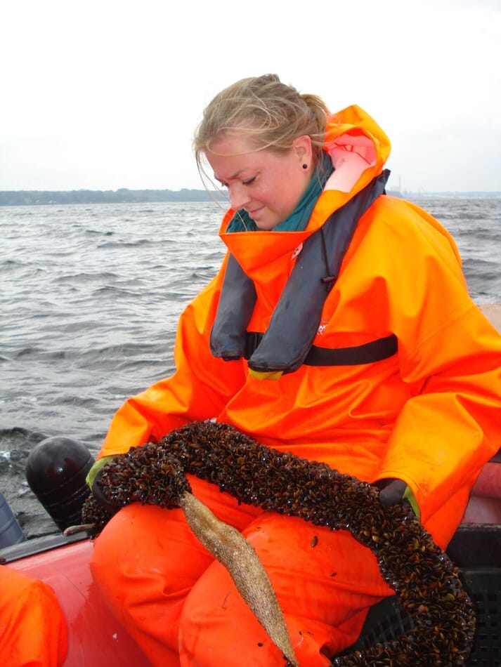 Dr Roessner collecting blue mussel spat in the Baltic Sea
