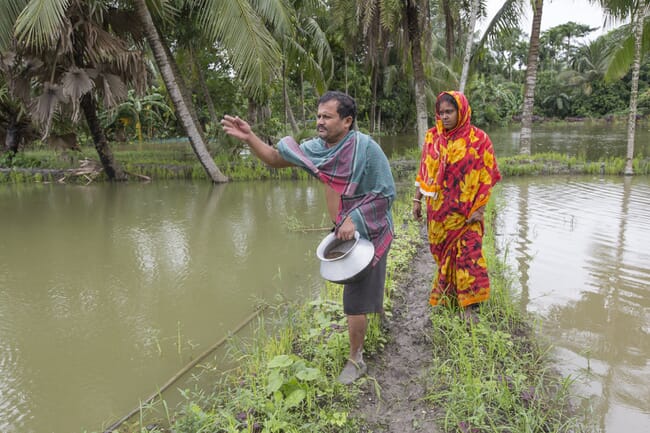 Man and woman throwing fish feed into a pond