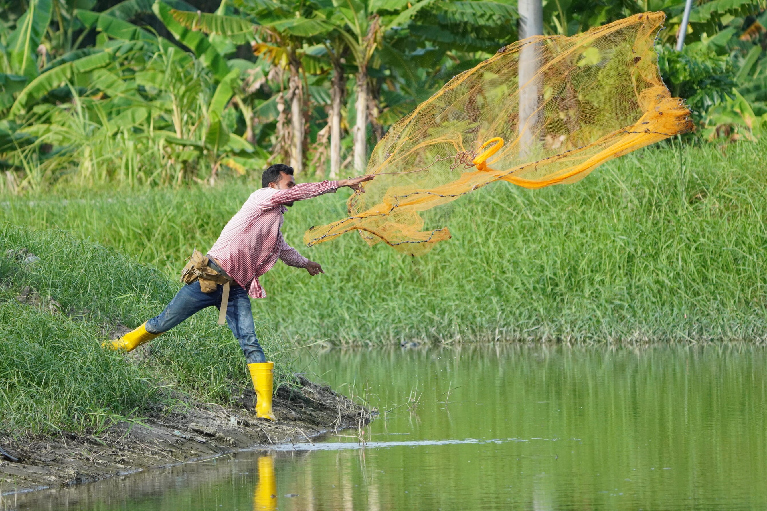 UK and CGIAR partner with WorldFish to launch Asia-Africa BlueTech ...