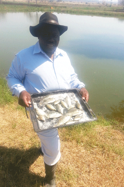 Zimbabwe's aquaculture sector currently produces about 18,400 tonnes a year