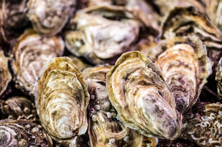 The current level of shellfish farming removes about 5.5 million tonnes of CO2 from the atmosphere - a figure which could be increased considerably by increasing the production of bivalves such as oysters and mussels