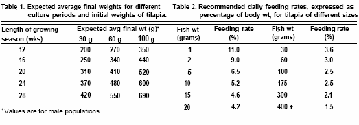 05-12sracTilapiaCage1.gif