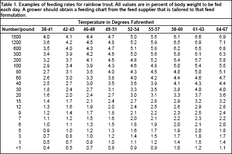 Trout Production: Feeds and Feeding Methods | The Fish Site