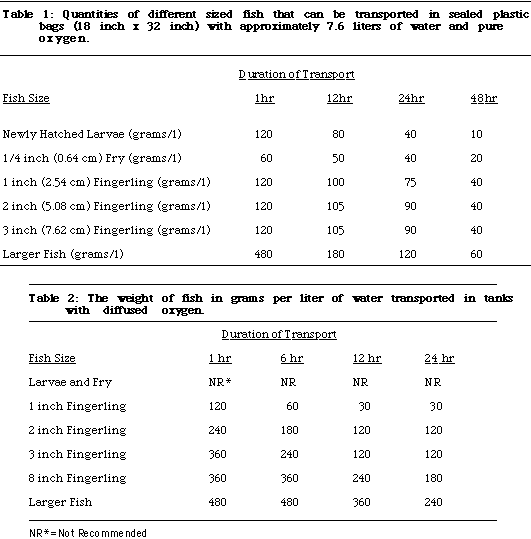 Transporting fish | The Fish Site
