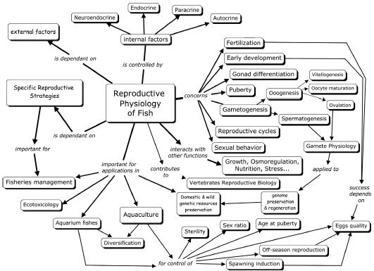 fish reproductive system diagram