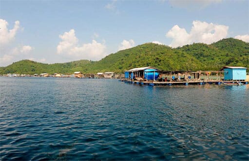 Medium-scale cages in Nha Trang