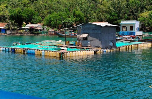 Small-scale cages in Nha Trang