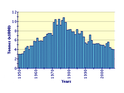 Global aquaculture production of Ruditapes decussatus