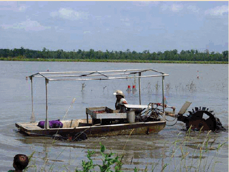 Crawfish Harvesting