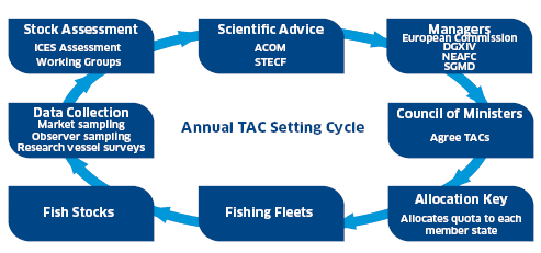 stockfish development version