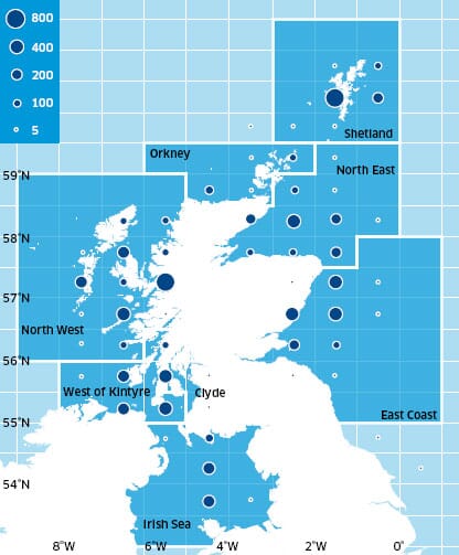 Scallop Assessment