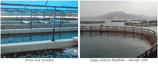 Marine cage culture of grouper - SEAFDEC/AQD