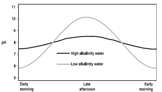 Graph illustrating changes in pH during a 24-hour period in waters of high and low total alkalinities