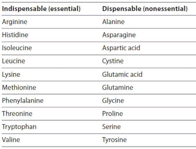 Table listing the two major classes of amino acids