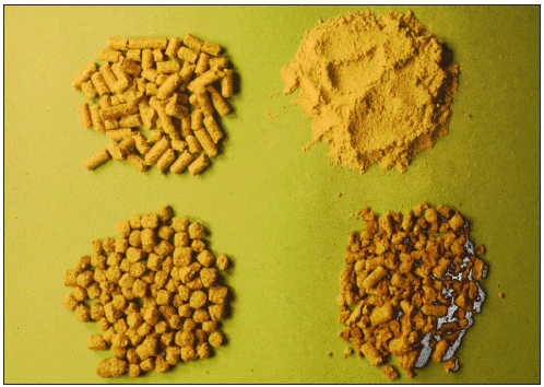 Picture showing four different types of feed pellets for fish