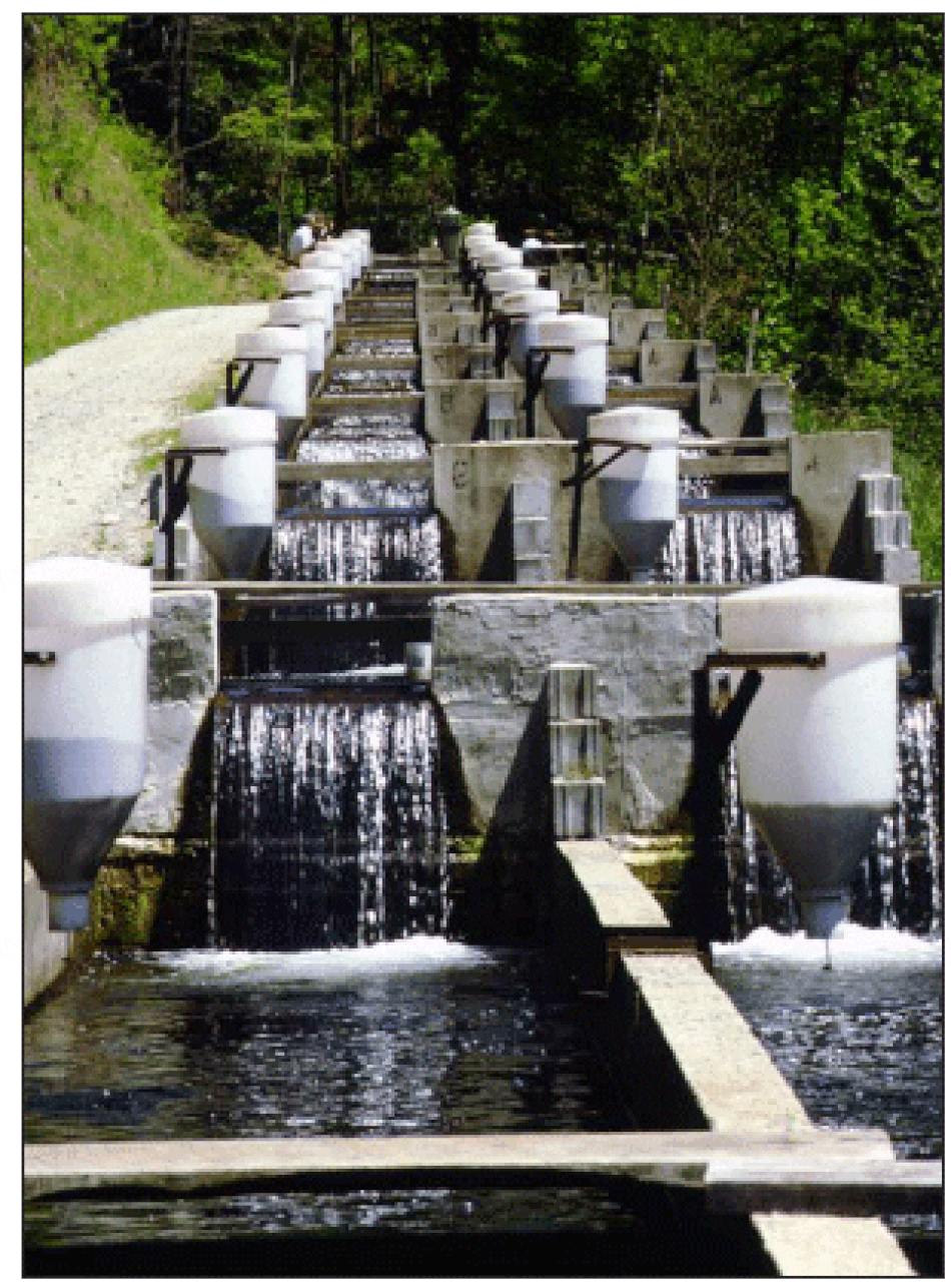 Principles of fish nutrition | The Fish Site