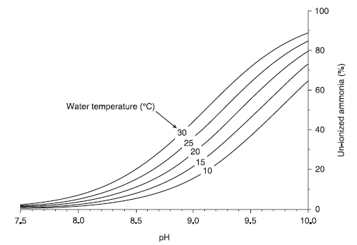 Graph showing increases in ammonia and pH concentrations as water temperatures rise