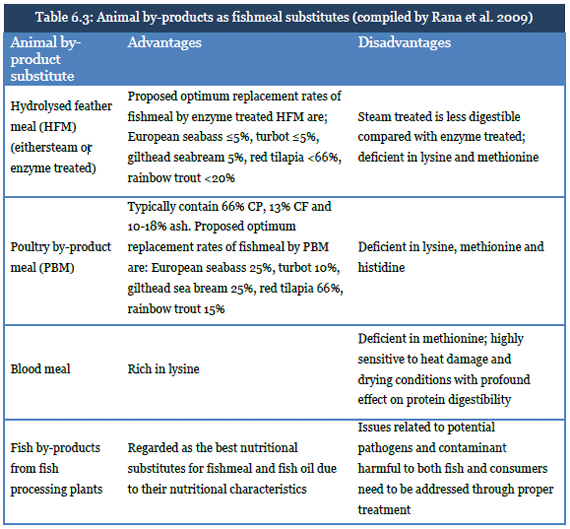 Research on Alternative Raw Feed Materials | The Fish Site