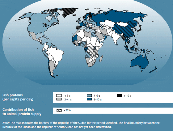 FAO State of World Fisheries, Aquaculture Report - Fish 