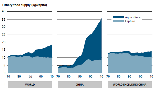 FAO State of World Fisheries, Aquaculture Report - Fish 