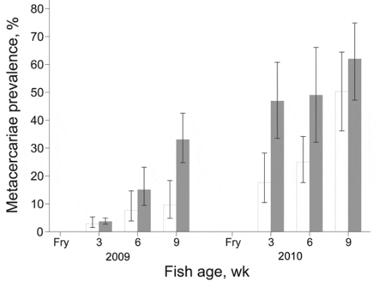 12-8-9Fish3.gif