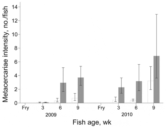 12-8-9Fish4.gif