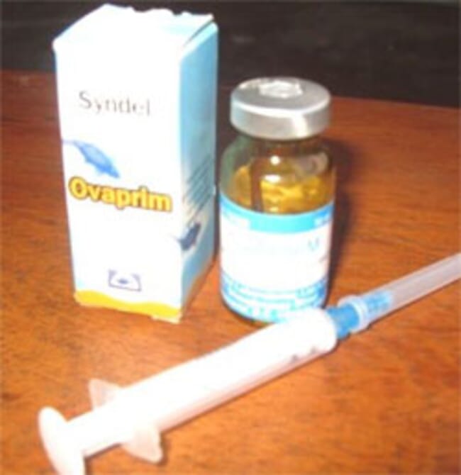 Picture of Ovaprim