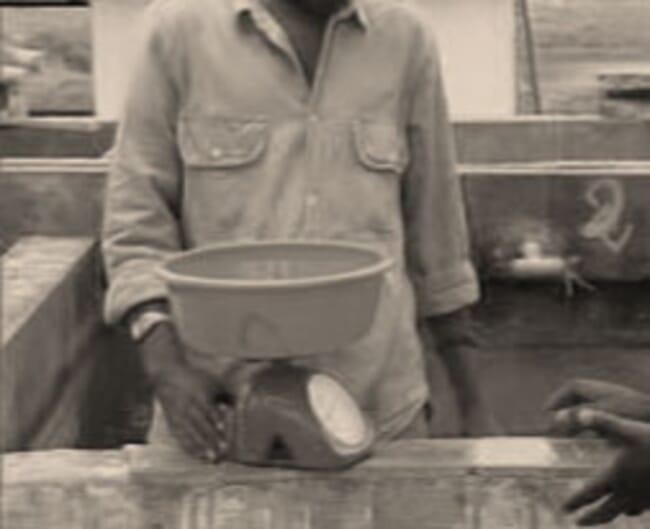 Photograph showing the stripped eggs on a weighing scale.