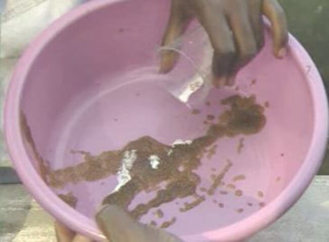 Photograph showing a mixture of saline solution and milt from the male catfish being added to the eggs.