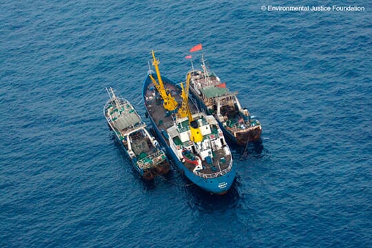 Transhipping at Sea SOURCE: Environmental Justice Foundation