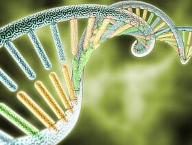 DNA Sequencing Used to Identify Thousands of Fish Eggs The Fish Site