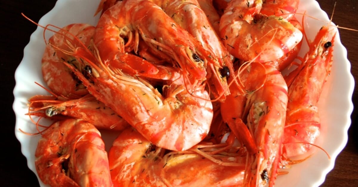 Shrimp Leads Increase in US Seafood Consumption | The Fish Site