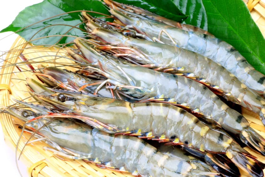 National Fish & Seafood Helping Black Tiger Shrimp Farmers Achieve