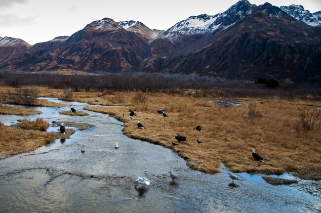 Alaskan mountains.