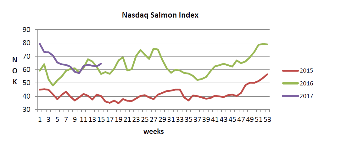 Salmon prices up 51 The Fish Site