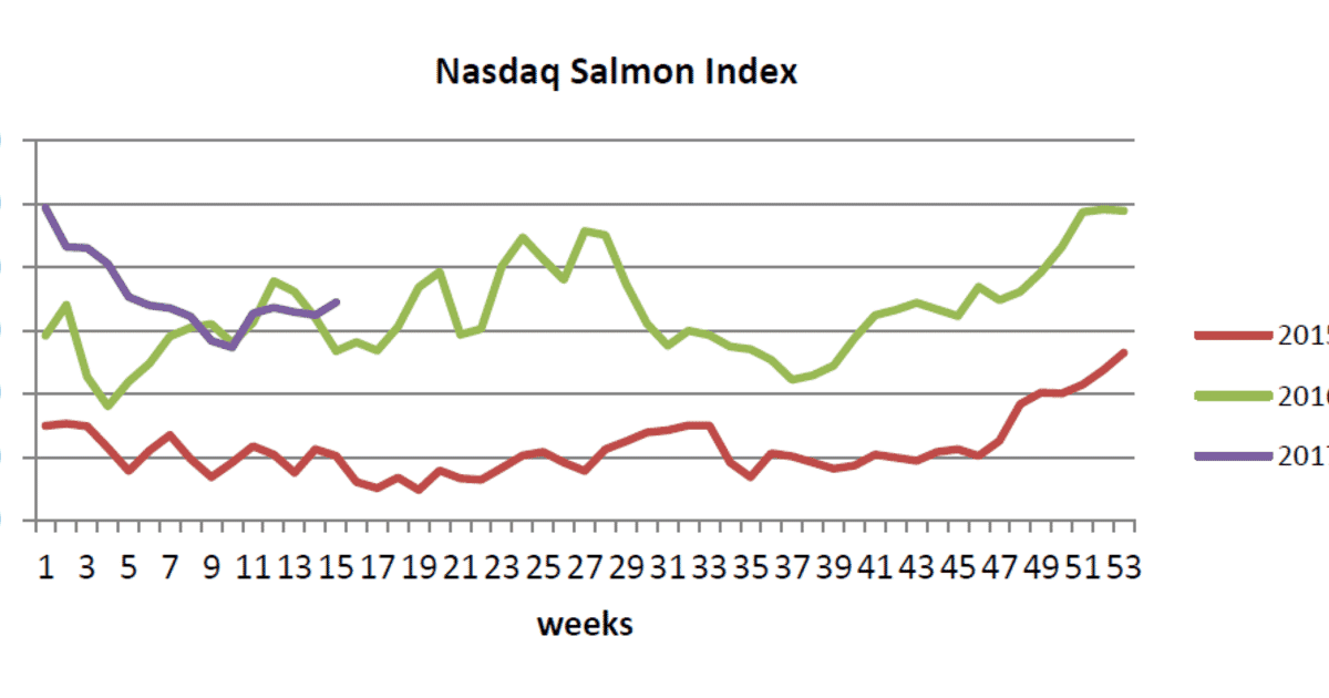 Salmon prices up 51 The Fish Site