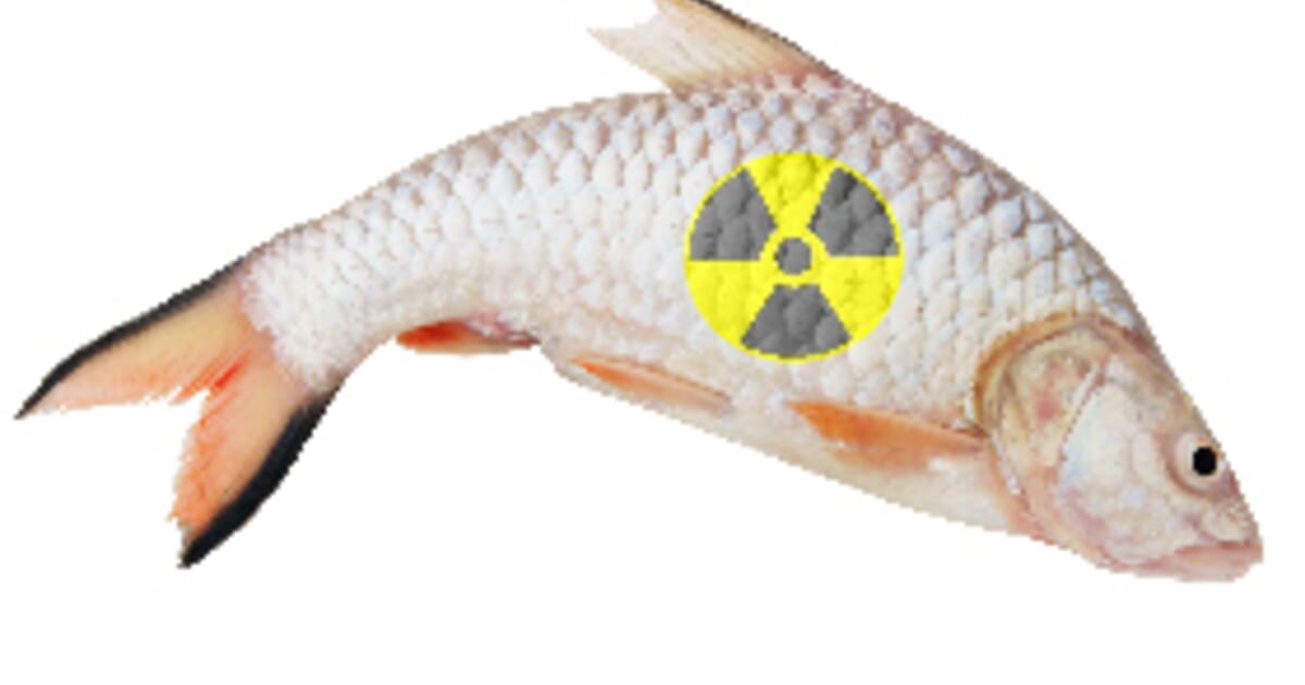 Weekly Overview: Further Fukushima Radiation Leaks Spark Fish ...