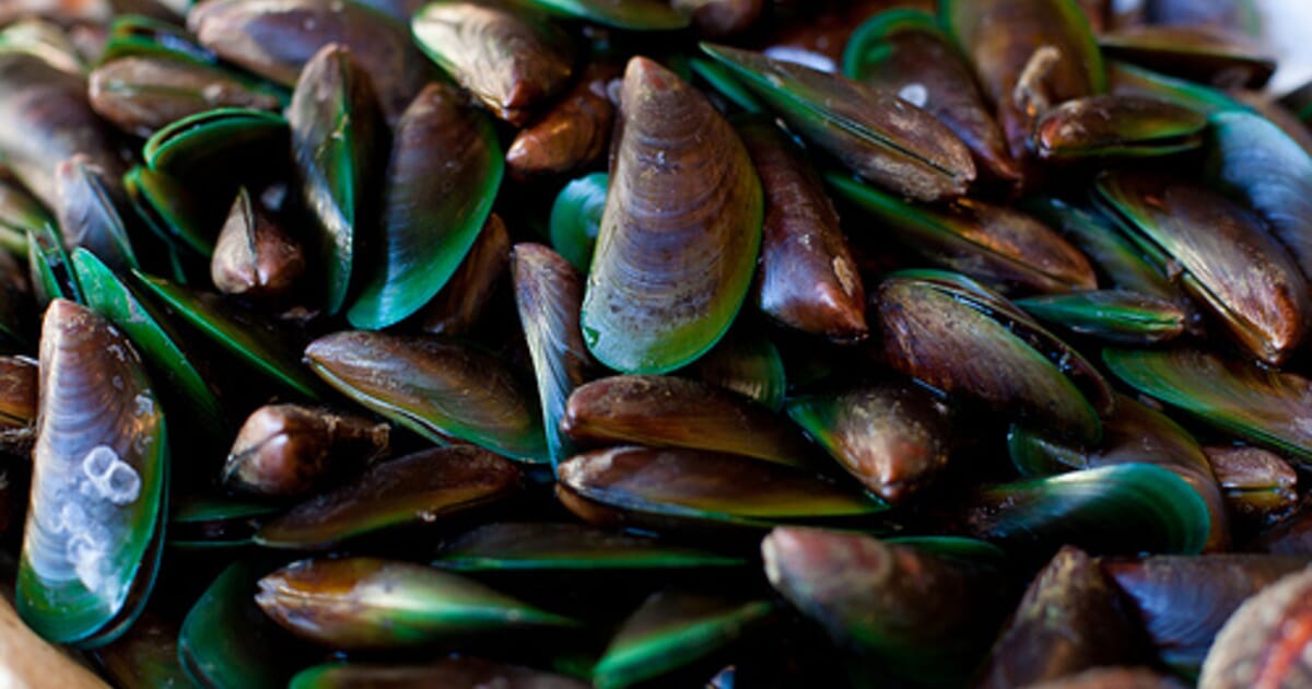 NZ university explores AI to boost aquaculture sector