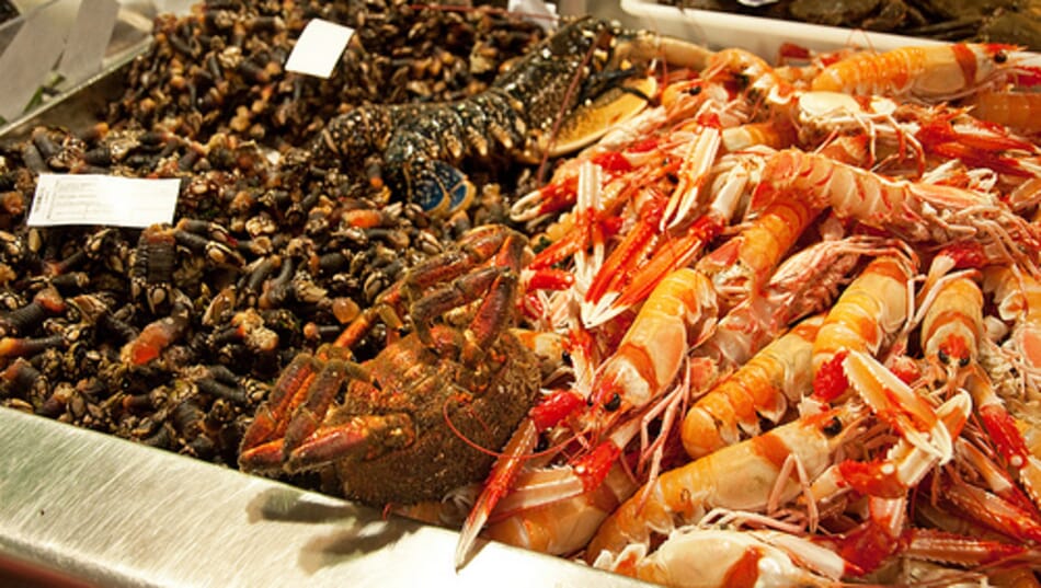 Seafood Nutrition Partnership launches new campaign | The Fish Site