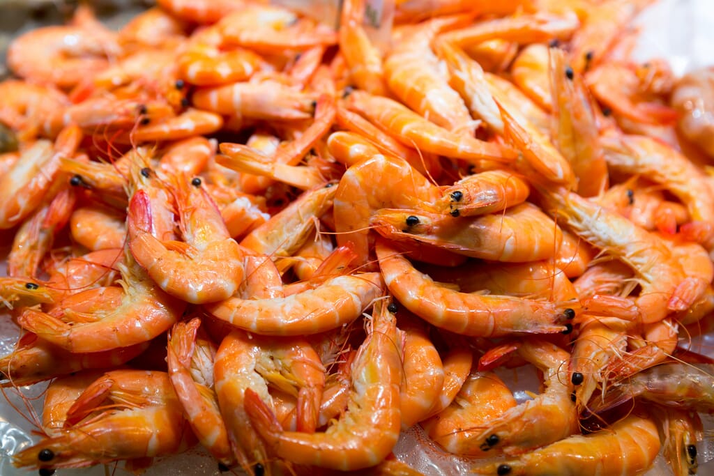 Worlds Largest Prawn Farm to be Built in Zhongshan The Fish Site