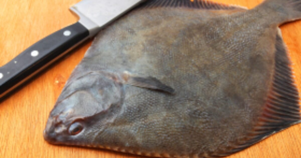 Why the Flounder is Flat